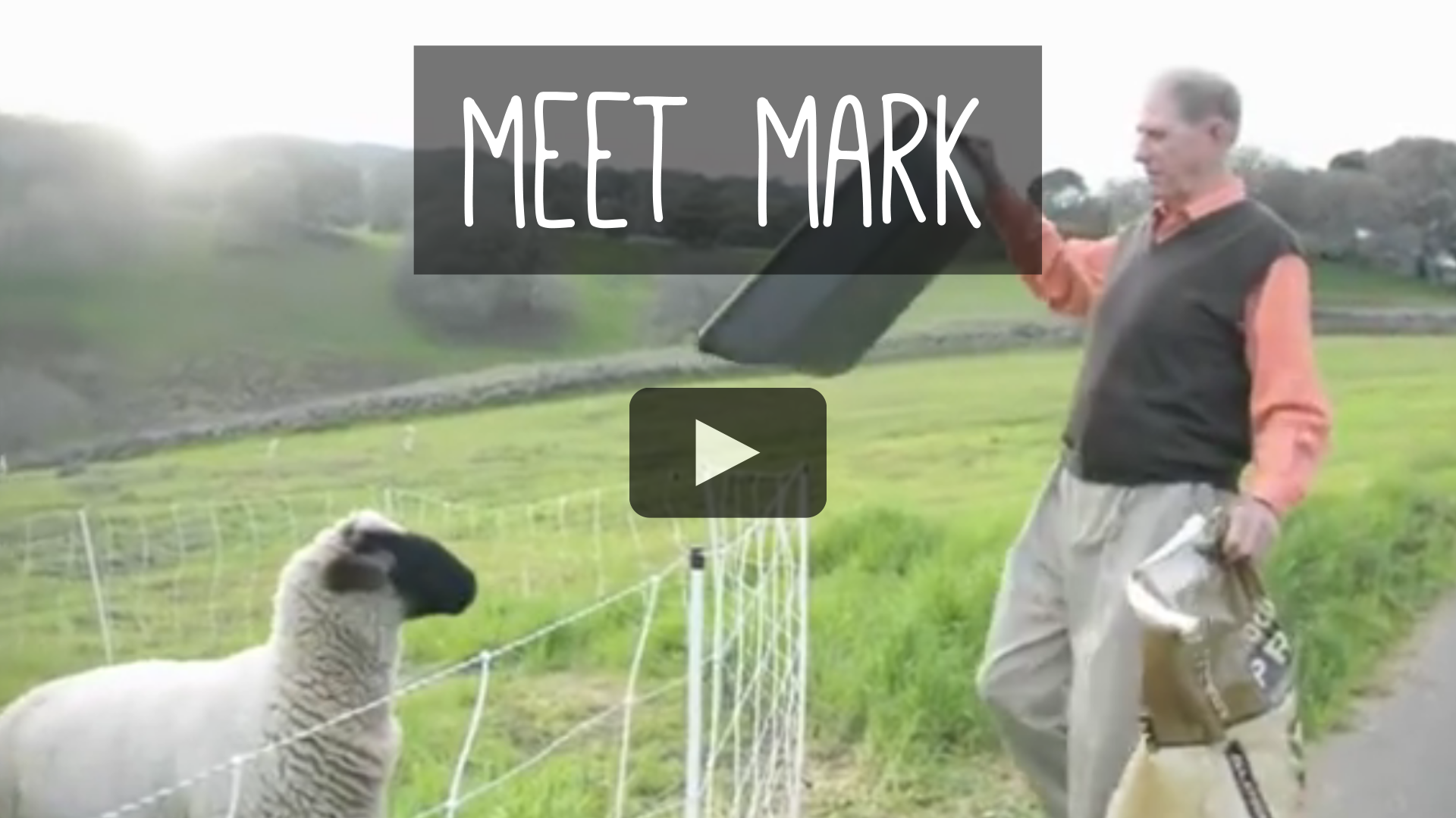 Meet Mark