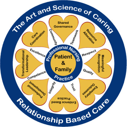 Nursing Professional Practice Model